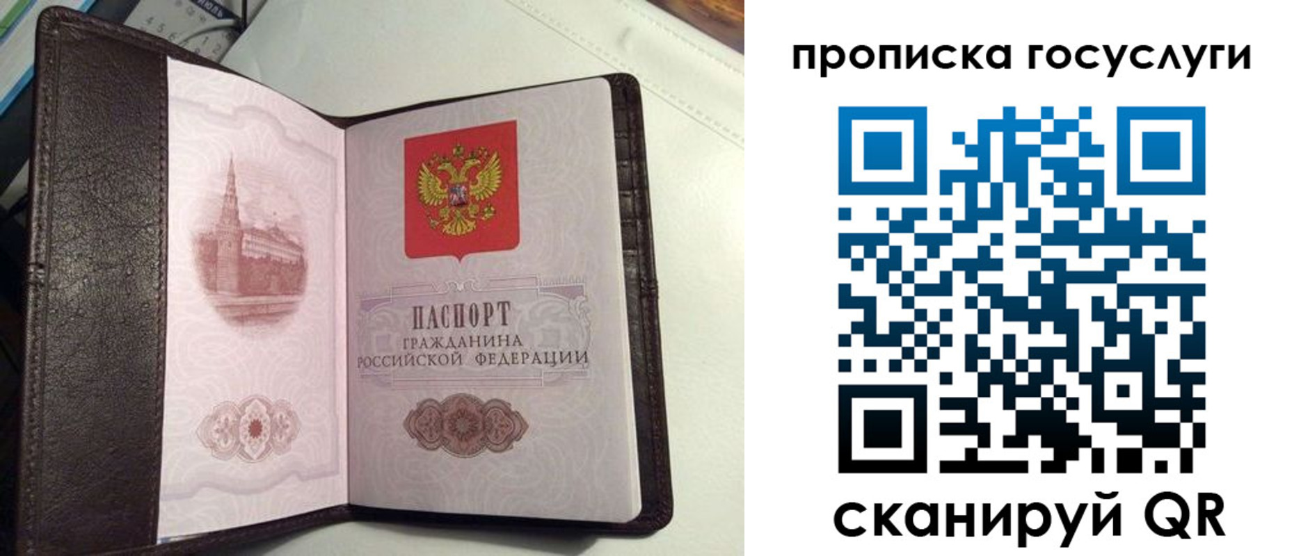 временная прописка в Менделеевске